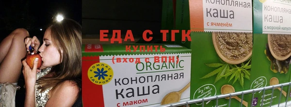 прущие крисы Дмитровск