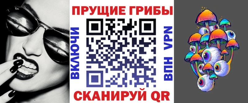 где можно купить   omg ТОР  Псилоцибиновые грибы мухоморы  Данилов 